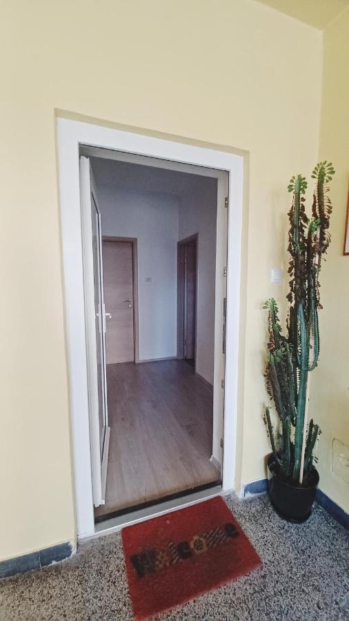 Апартаменти Apartman Dora Пула Екстер'єр фото